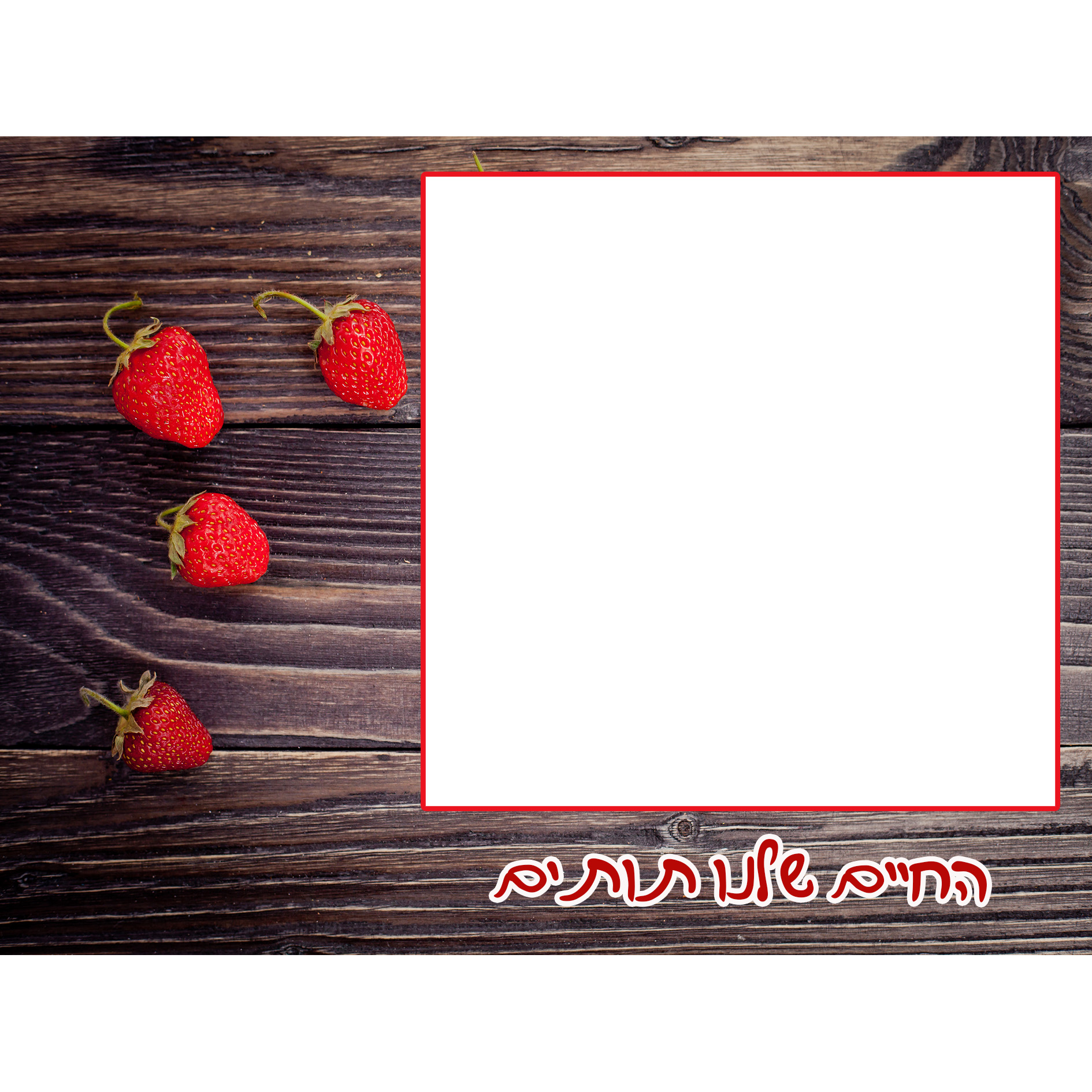 פוטובלוק מעוצב ליום האהבה